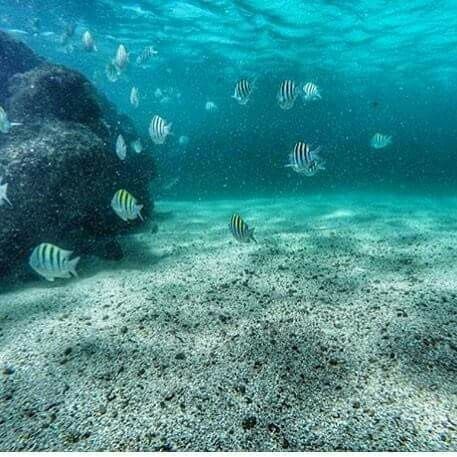 Porto de galinhas aí vamos nós!!!! ? - 3