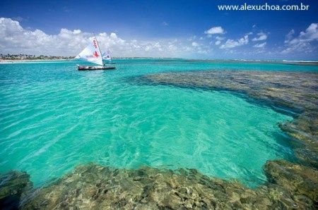 Porto de galinhas
