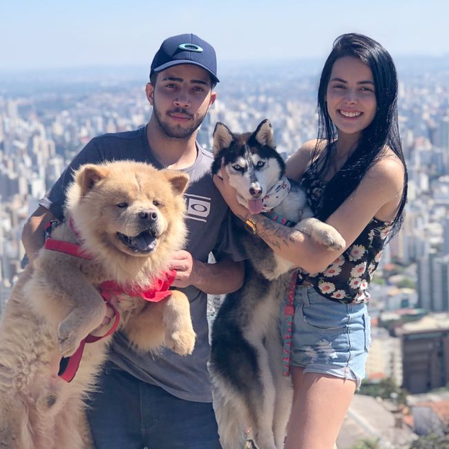 Vocês têm vontade de ter um animal de estimação? 2
