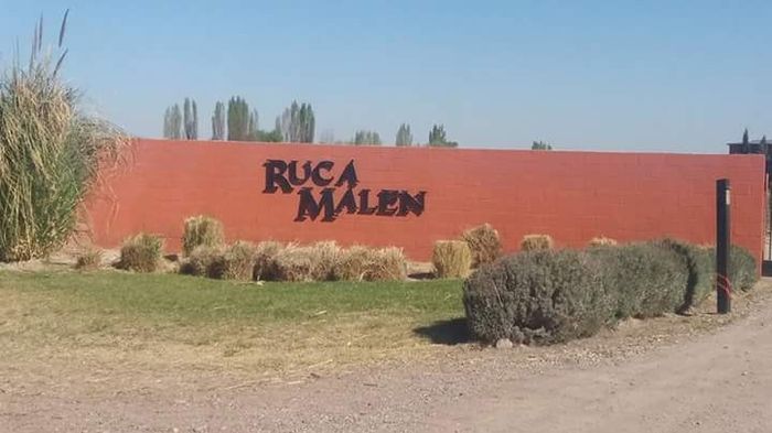 Bodega Ruca Malen...Paraíso