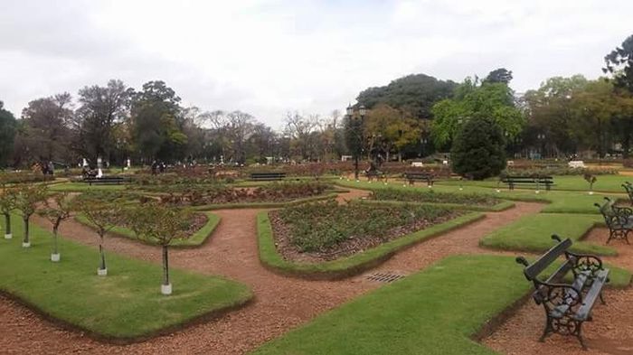 Jardim de Palermo - Buenos Aires