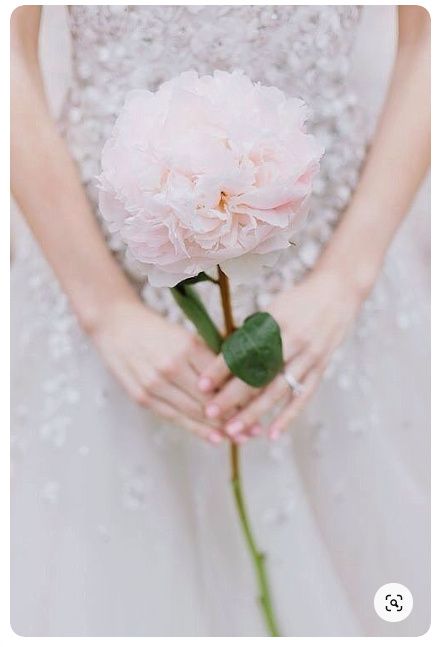 Single-stem Bouquet: bouquet de uma só flor! 3