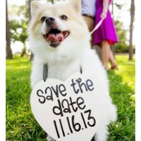 Meu save the date - 1