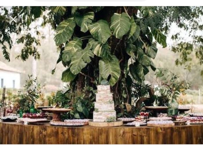 Casamento sem flores 1