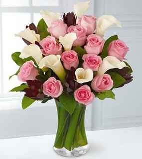 Rosas 