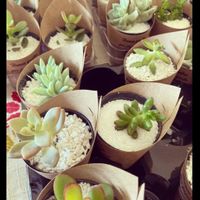 Quantos ❤️ você dá para o dia do seu casamento? Avalie! - 3