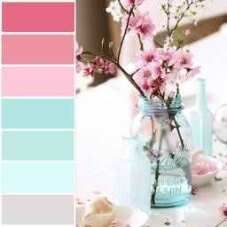 Paleta de Cores