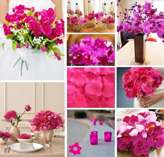 Flores
