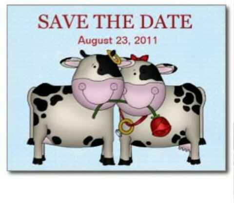 Save the date: vaquinhas. - 3