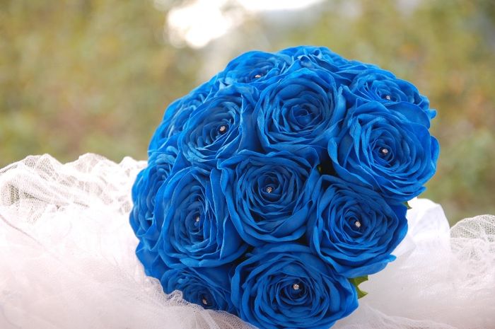 Flores da cassinha