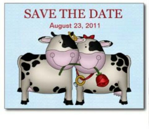 Save the date: vaquinhas. - 3