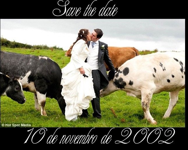save the date
