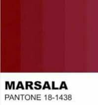 Paleta marsala - 1