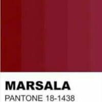 Paleta de cores marsala - 1