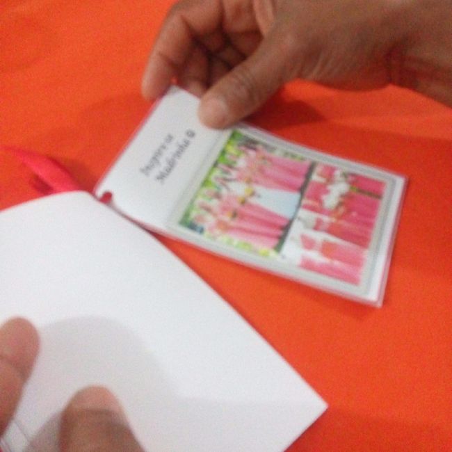 o manual das madrinhas
