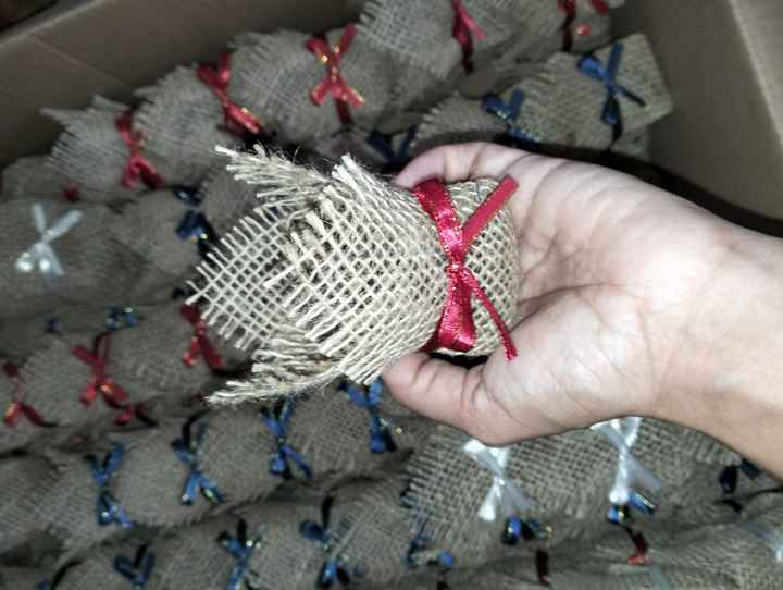 Cachepô suculenta Diy - 3