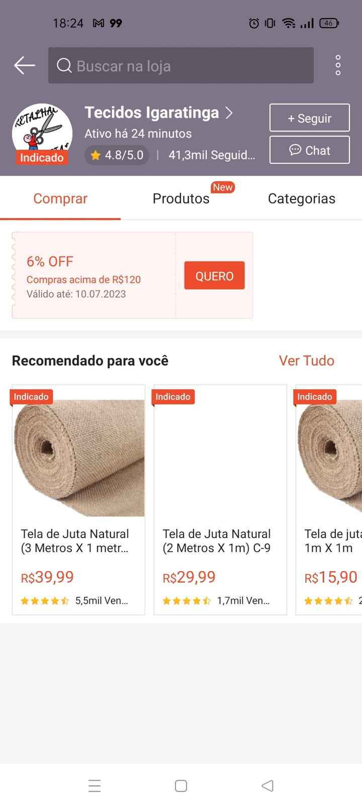 Cachepô suculenta Diy - 1