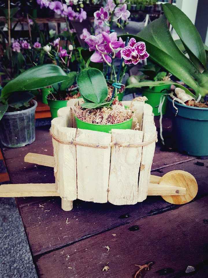  Fazendo minha propria decoraçao 💕 - 7