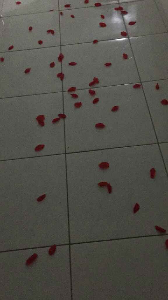 o meu pedido 😍 - 1