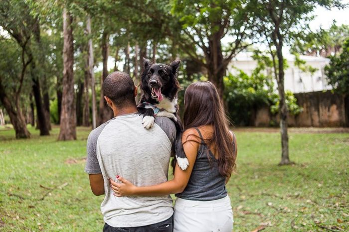 Pré wedding com cachorro 3