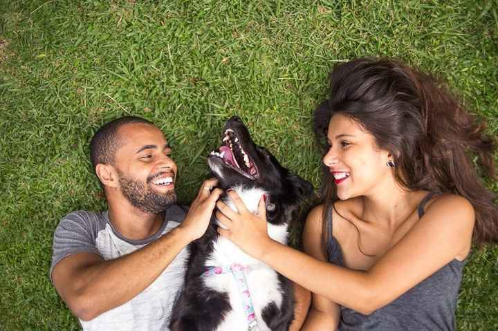 Pré wedding com cachorro - 1