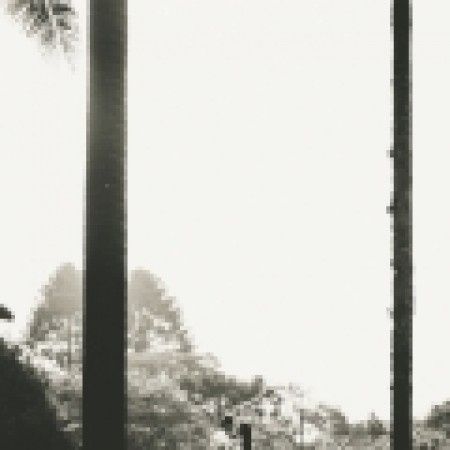 Dia incrivel!