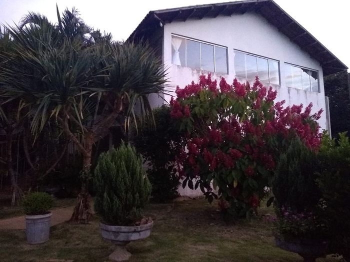 Decoração de Girassol - 2