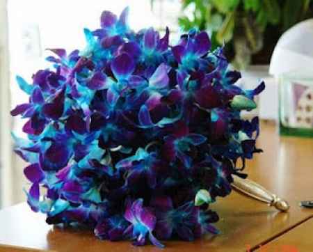 Buque azul 2 