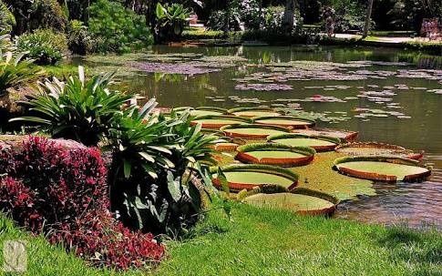jardim botanico