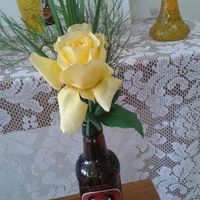 Nosso cha bar - 9