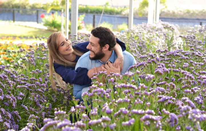 Pré wedding nove meses antes #vemver e entender Holambra - 3