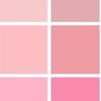 Paleta de Cores - Rose