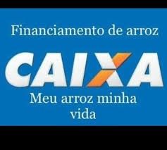 Saída dos noivos da cerimônia! 8