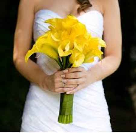 Callas