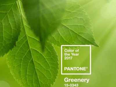 Pantone 2017