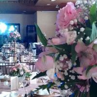 Meus outros fornecedores do casamento - 2