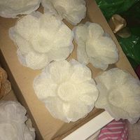 Minhas forminhas *diy - 1