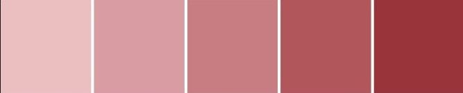 paleta marsala e rosé