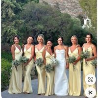 Vestidos das madrinhas cor única ou deixar que elas escolhem? - 4
