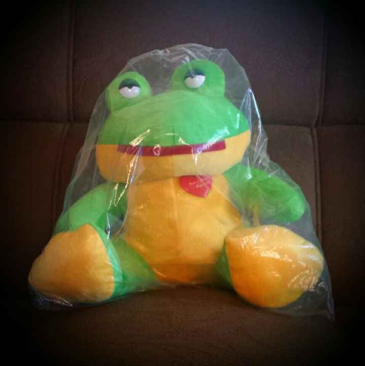 Meu sapo de pelúcia - 1
