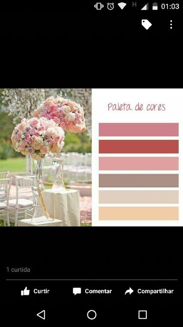 Minha paleta de cores - 1