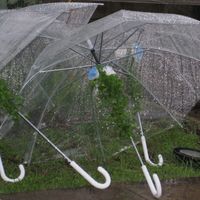 Chuva