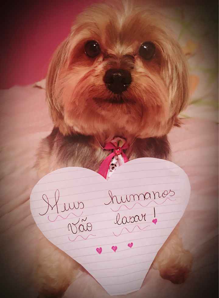  Plaquinha com animais - 1