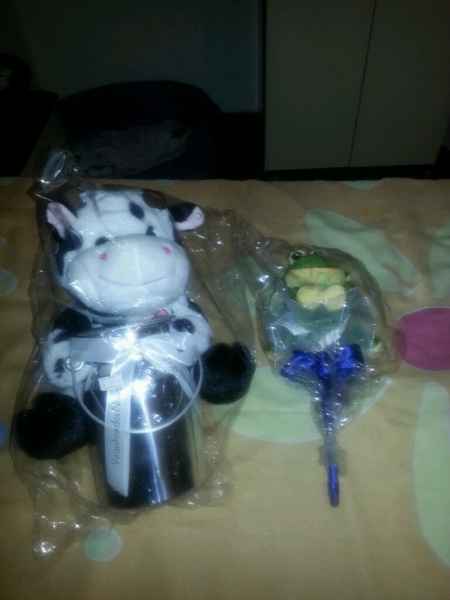 Minhas fofuras - 1