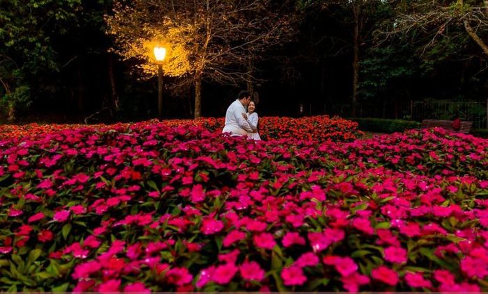 Dicas de parques para o pré-wedding em Curitiba 📷 3