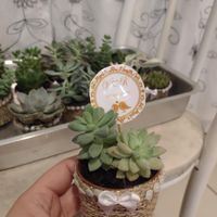 diy lembrancinhas - 5