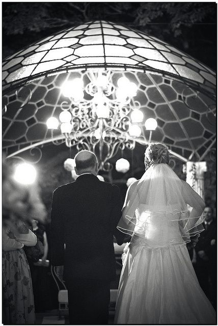 Vitaluxfotografia