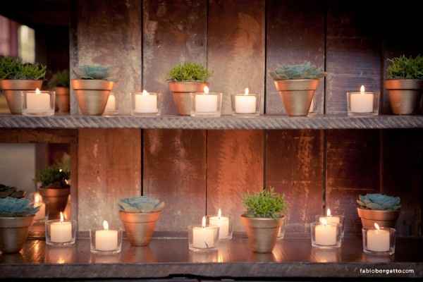 Plantas