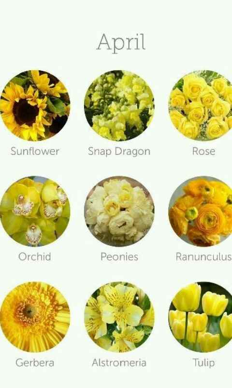 Dicas de decoração (flores) - 4