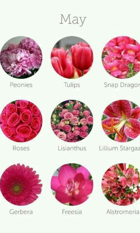 Dicas de decoração (flores) - 5